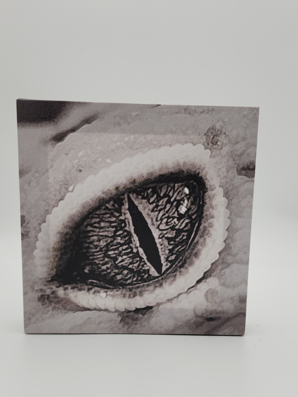 Personal Artwork - Black and White Gecko Reptile Eye Canvas Wall Art